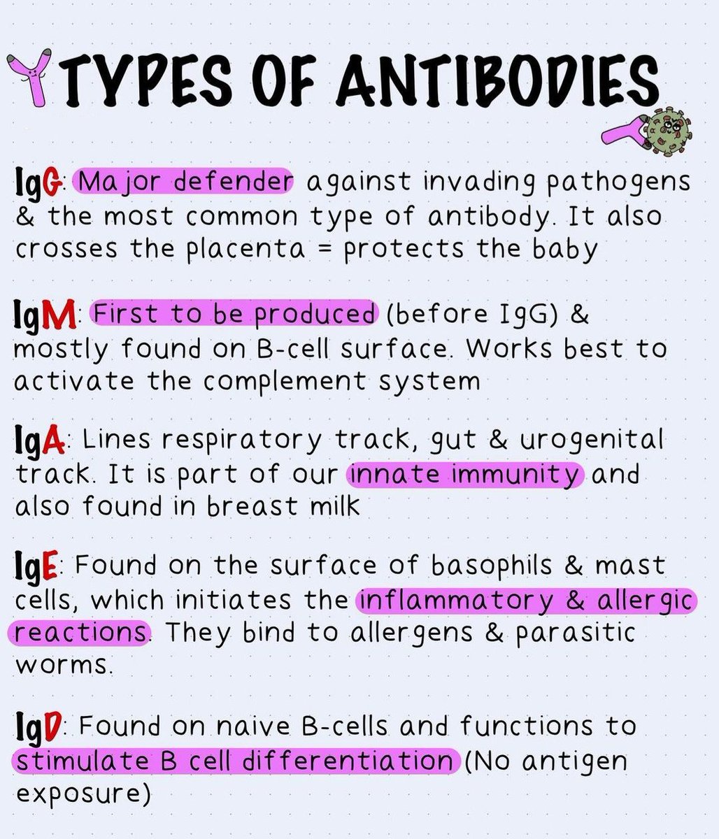 NurseHann100's tweet photo. TYPES OF ANTIBODIES https://t.co/PVmMghY0iQ