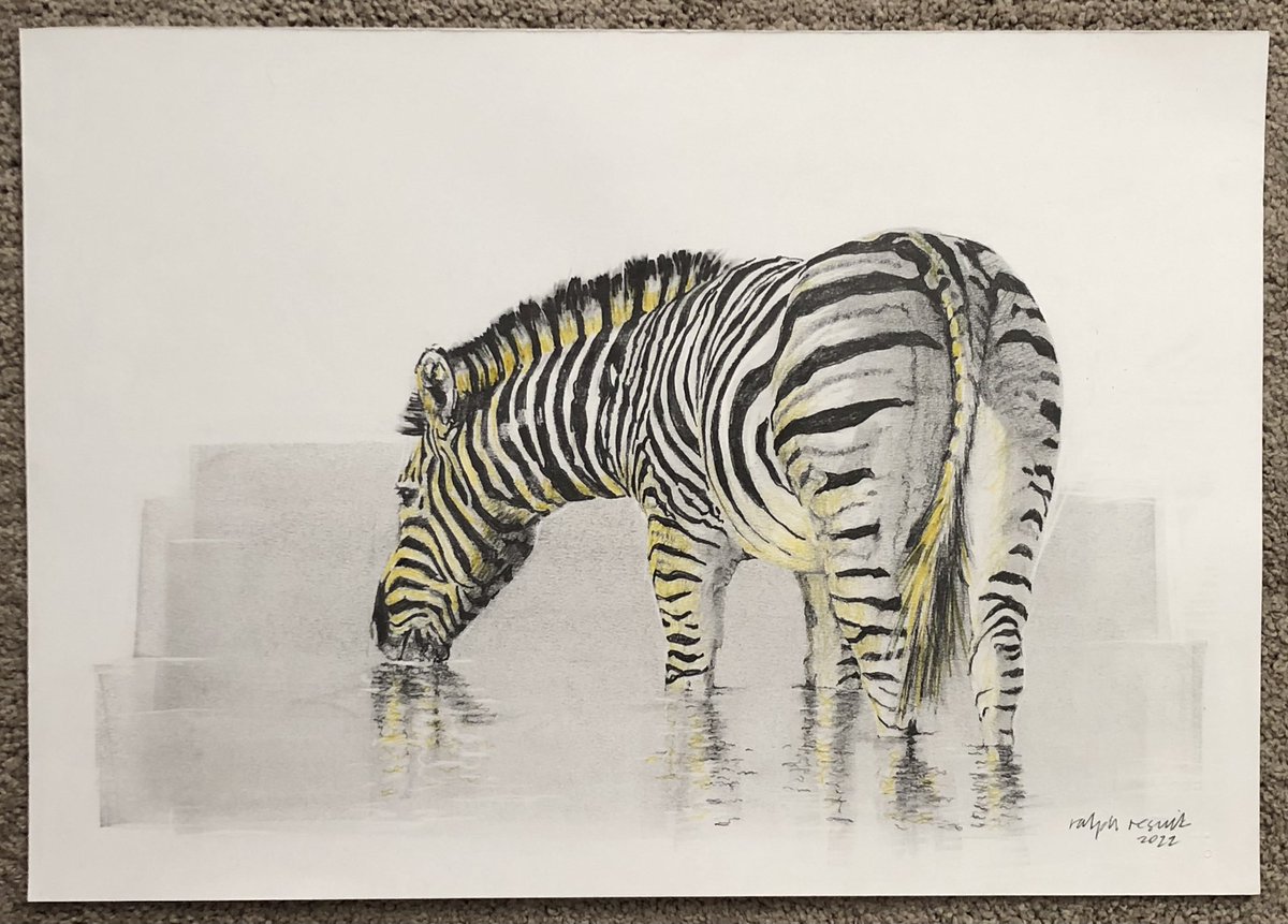 … “sundowner”
 #ralphresnikwildlifeartist #ralphresnikart #zebra #zebradrinking #pencilpainting #art #krugernationalpark #satararestcamp #pencildrawing #wildlife #rareafrica #dswf #wildlifeartistoftheyear