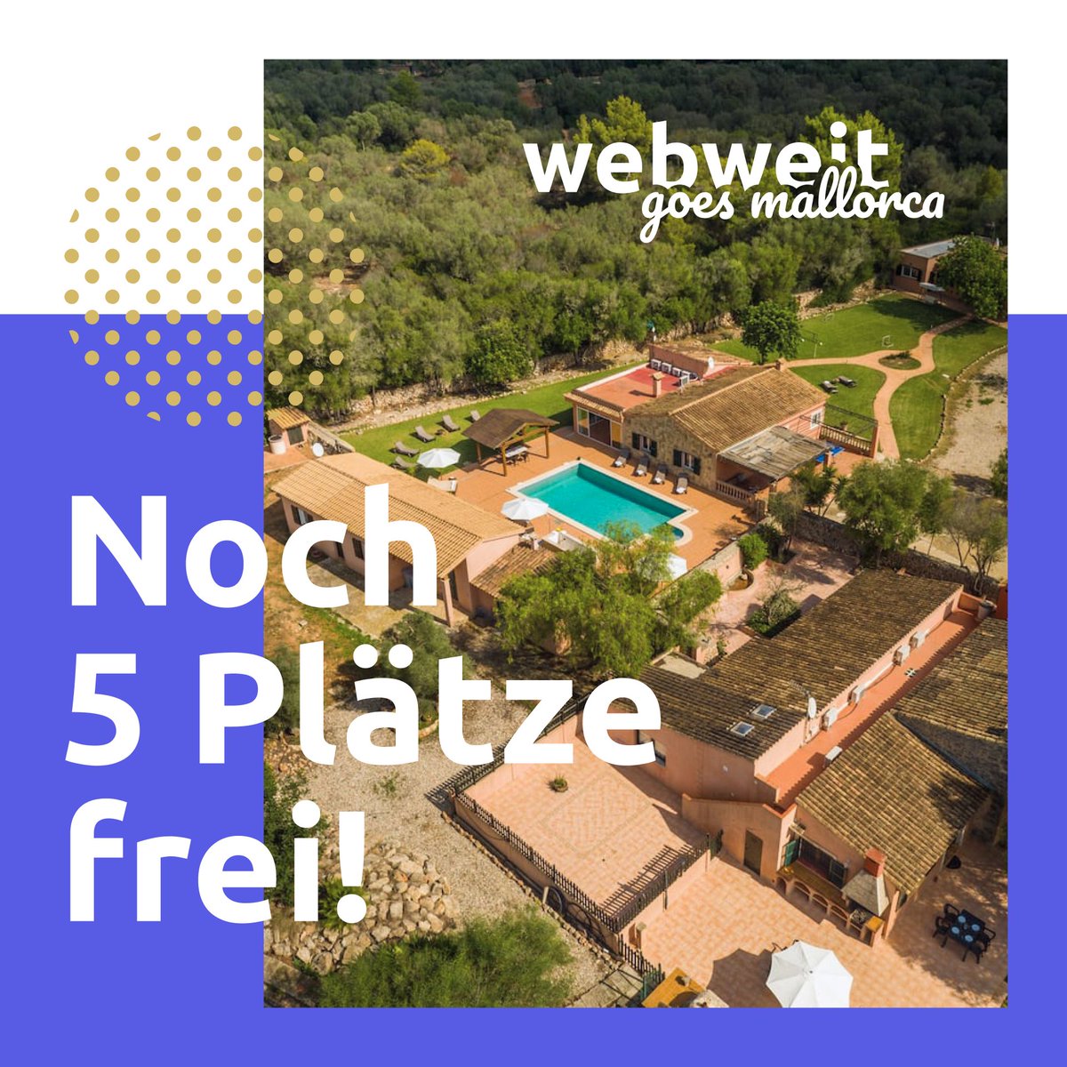 webweit - Shopware Manufaktur tweet media