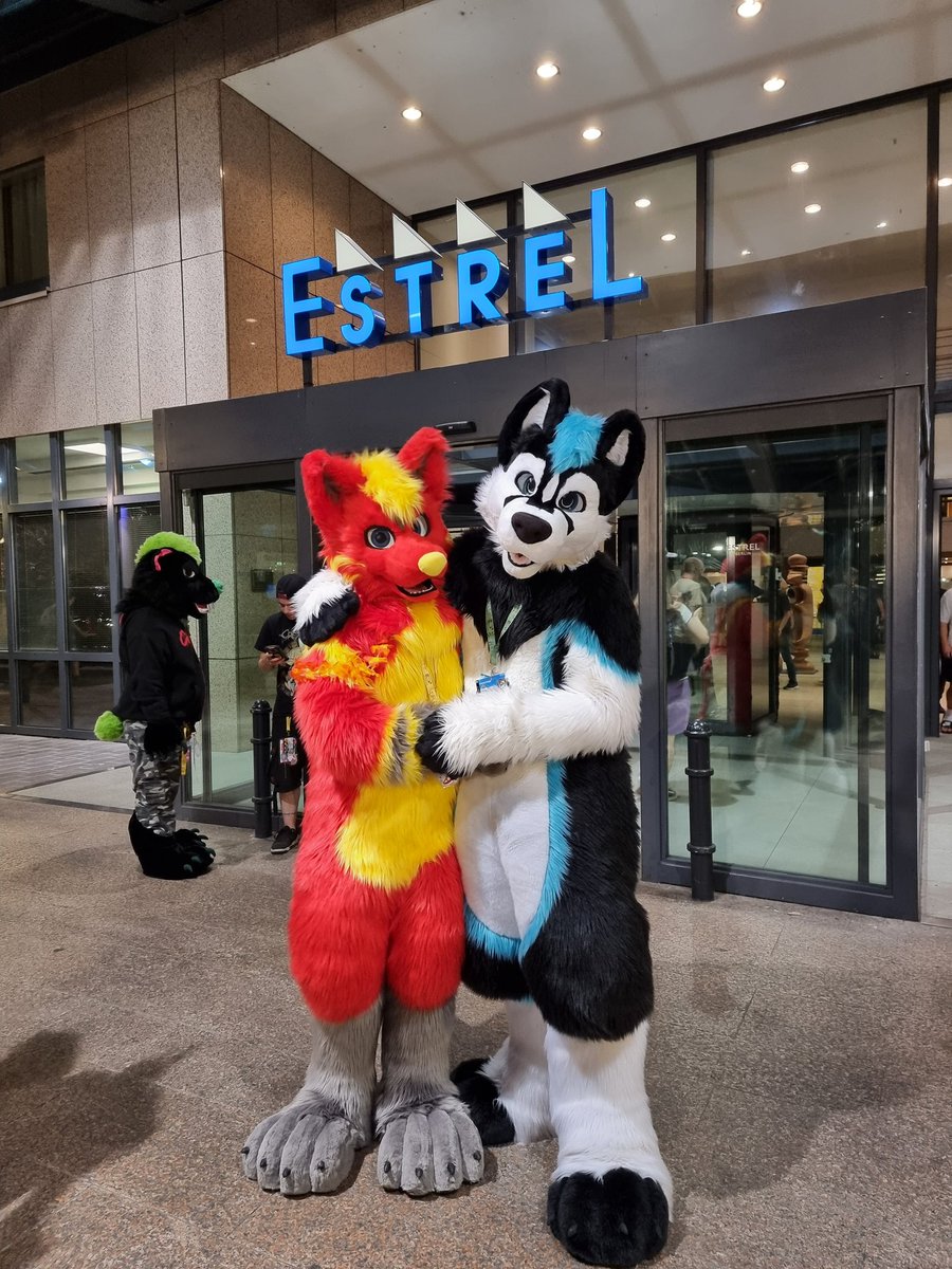 Husky Blaze (@red_husky_blaze) on Twitter photo Greetings from <a href="/NebraskaHusky/">Nebraska Husky</a> and myself in front of the <a href="/estrelberlin/">Estrel Berlin</a> and the #Eurofurence26 #FursuitFriday
My suit by <a href="/infurryty/">Infurryty</a> Greetings from <a href="/NebraskaHusky/">Nebraska Husky</a> and myself in front of the <a href="/estrelberlin/">Estrel Berlin</a> and the #Eurofurence26 #FursuitFriday
My suit by <a href="/infurryty/">Infurryty</a>