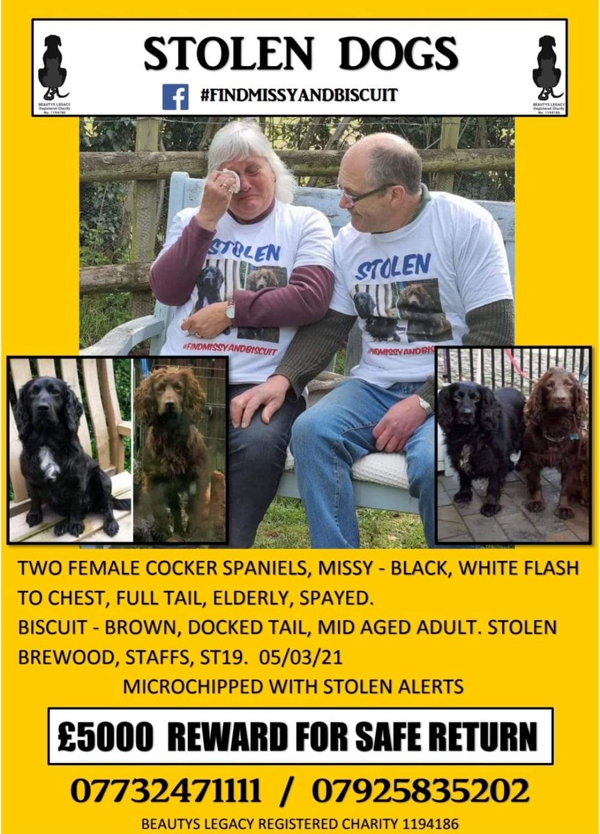 We will never stop searching...stolen from their garden, the family is broken. please give the girls another push, we need  to #findmissyandbiscuit #InternationalDogDay2022 @StaffsPolice @RavWilding @JaneFallon @BBCCrimewatch @StaffsPFCC @rachellilley91 @ChrisGPackham @PipTomson
