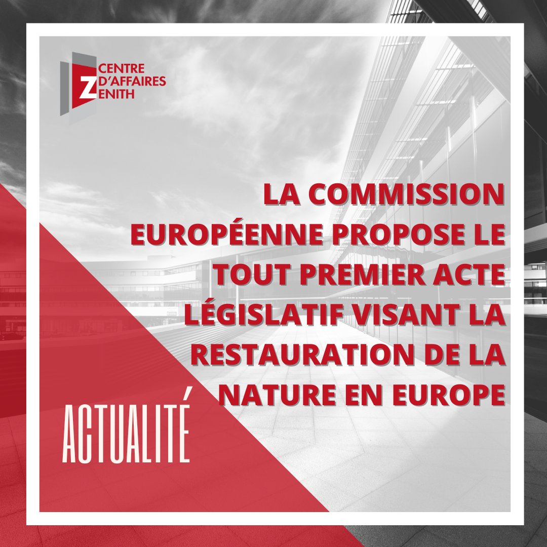 𝘾𝙤̂𝙩𝙚́ 𝙖𝙘𝙩𝙪𝙖𝙡𝙞𝙩𝙚́ ! 👀
La Commission européenne, dans son communiqué du 22 Juin dernier, s’est penchée sur des propositions inédites de lois sur la restauration de la nature : 

🌐 Pour consulter le communiqué de presse complet  bit.ly/3QLLCcw