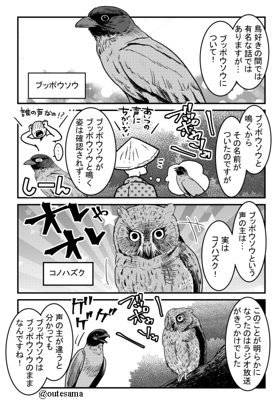 過去描いたけれど、公開しなかった漫画から再び。
とても有名な話ですが…ブッポウソウ 