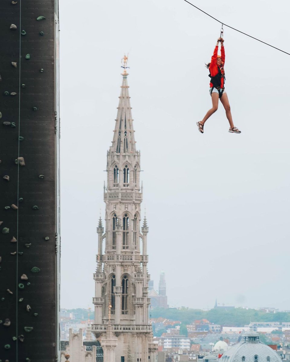 Travel Tomorrow tweet media