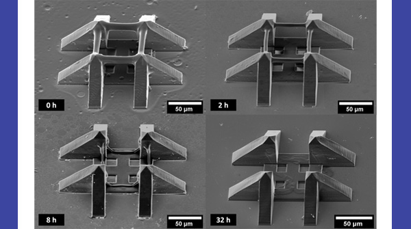In this study, researchers introduced a new functionality on materials fabricated via direct laser writing <a href="/BarnerKowollik/">Macroarc</a> <a href="/VinhXTruong/">Vinh Truong</a>

The microstructures can be degraded using only water and visible light irradiation.

Read the #OpenAccess paper: ow.ly/cEVM50KrS2A