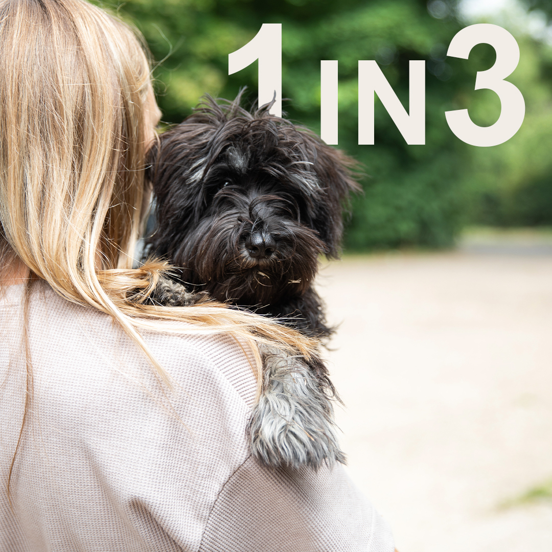 The Kennel Club on Twitter "Are you a potential new dog owner who is