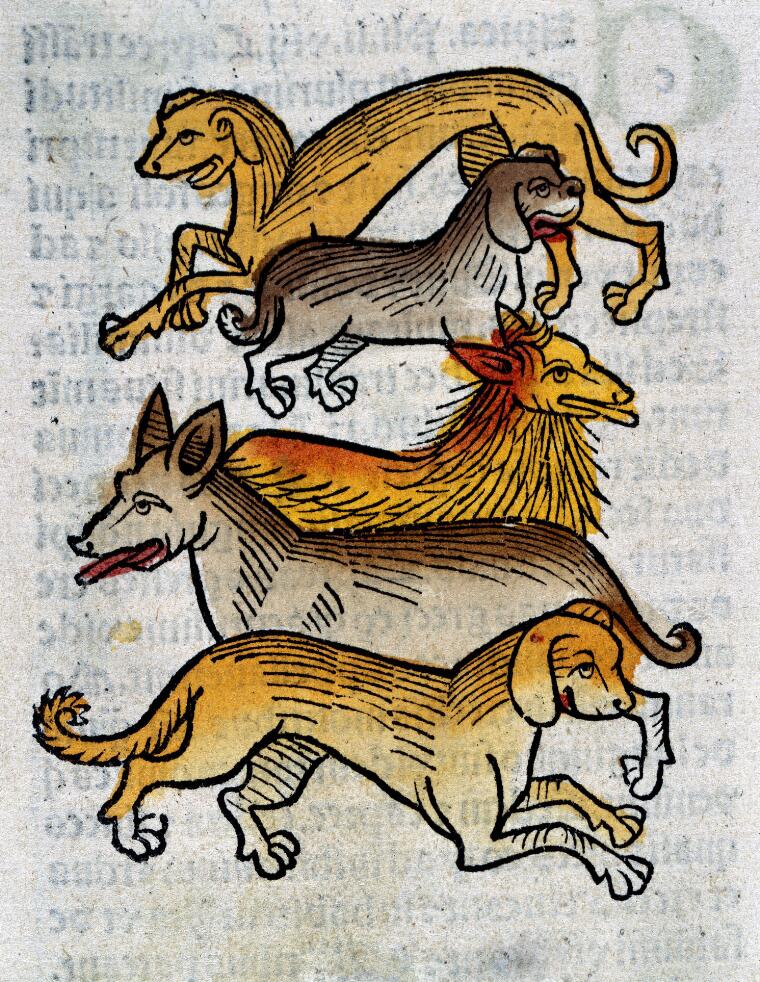 Three Cheers for #NationalDogDay! 3/3

Hortus sanitatis, Mainz, 1491 @ExploreWellcome

#RenPets
#DogsofTwitter #DogDay #InternationalDogDay