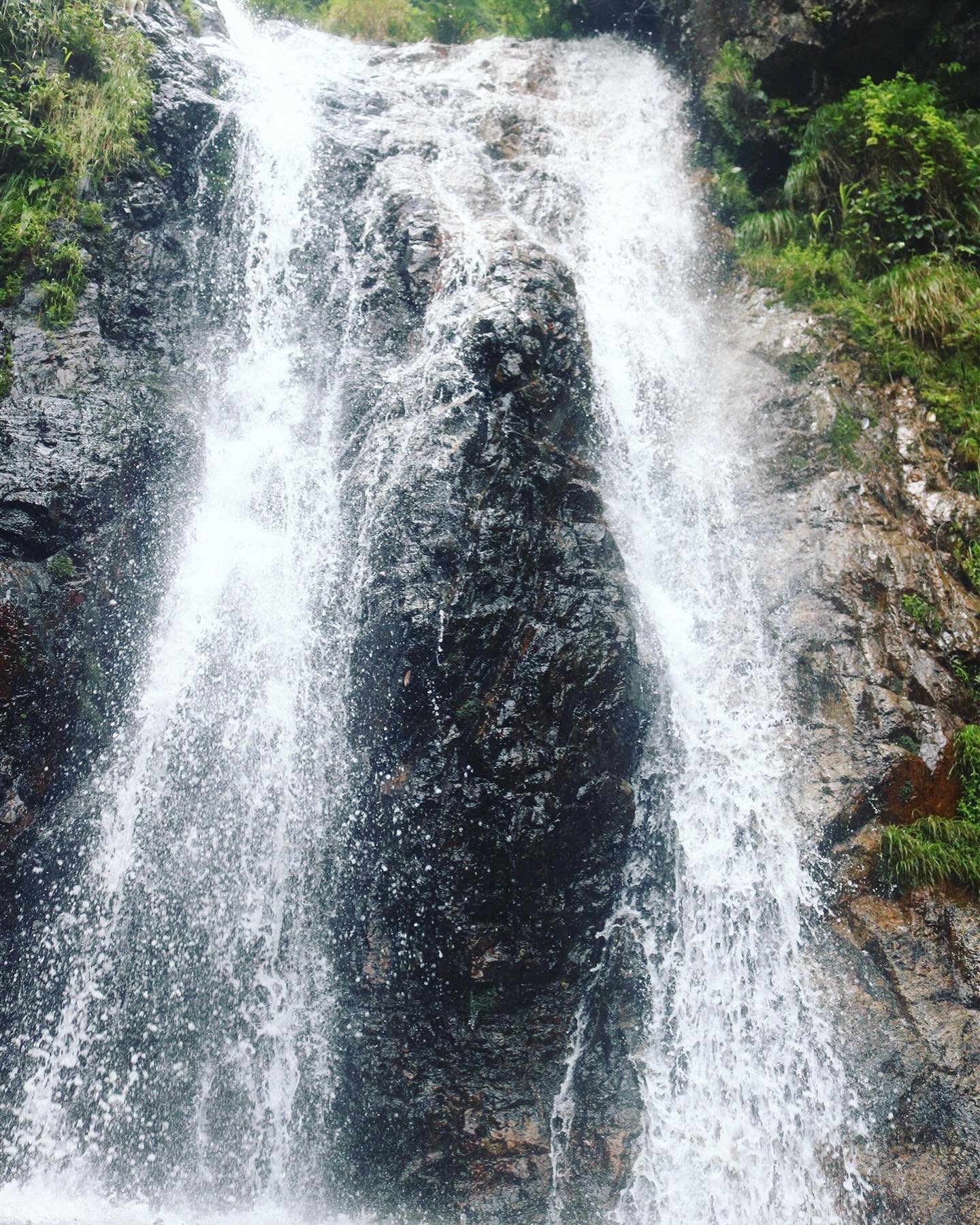 Tweets With Replies By Memini Meminijp Twitter