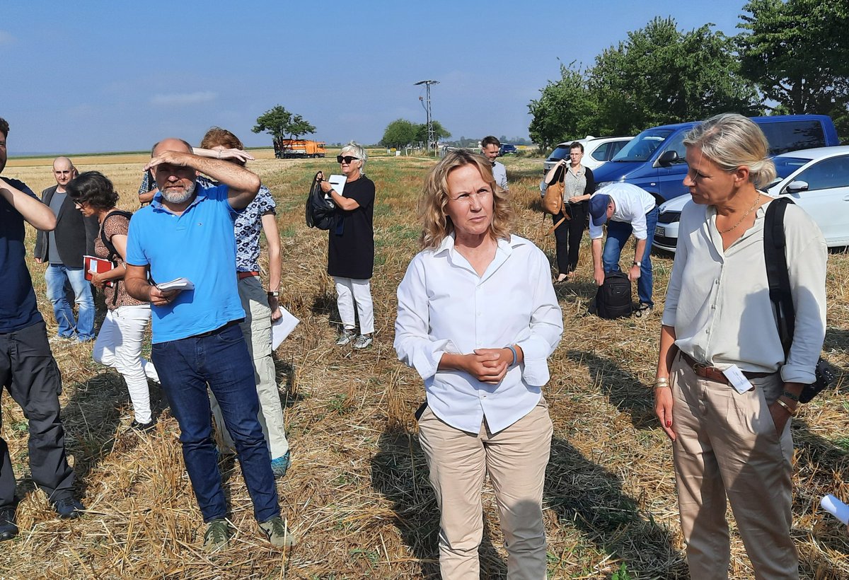 Auf Sommerreise mit Umweltministerin Steffi @SteffiLemke @BMUV: wo ist der #Feldhamster? Besuch beim #BUND in der #Börde in #Sachsen-Anhalt. Felder höher mähen, Schutzräume schaffen. Sonst droht der Feldhamster auszusterben.