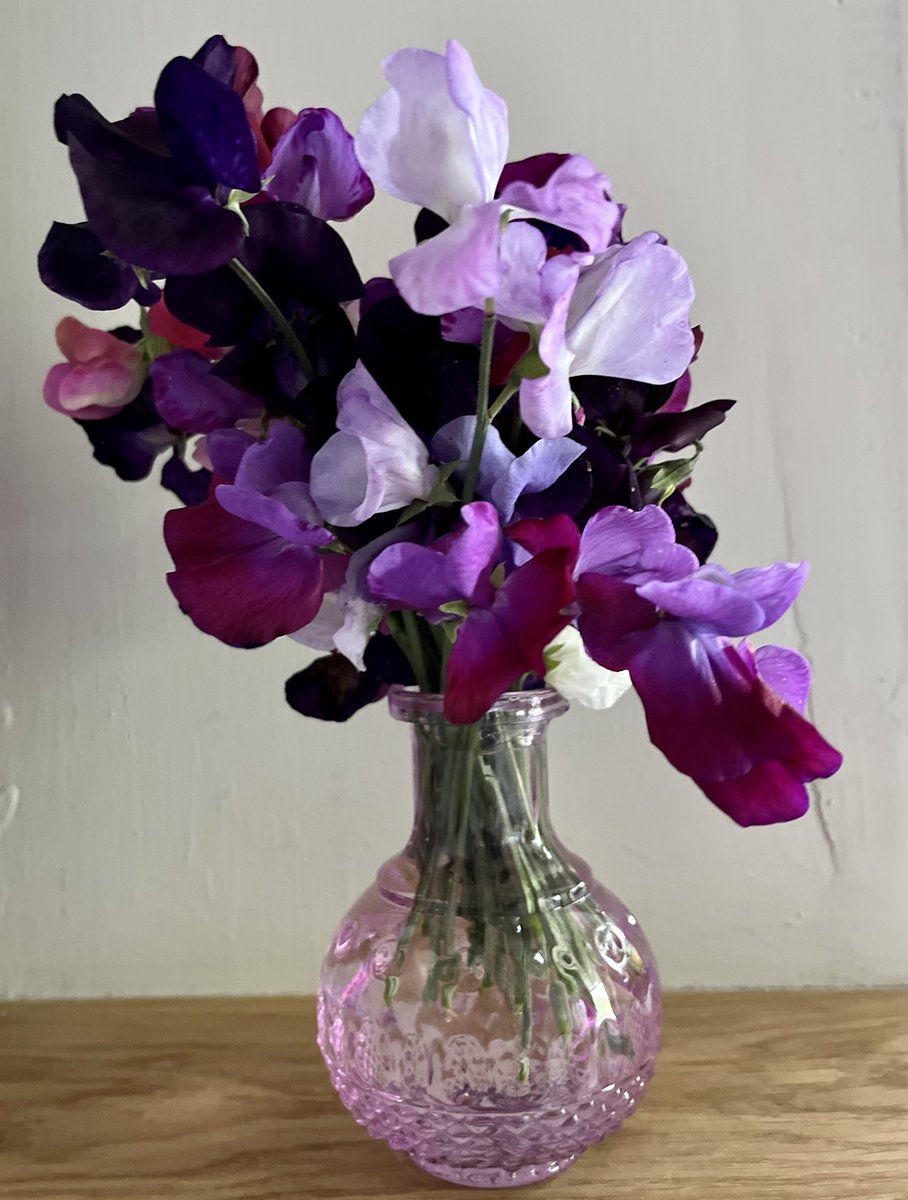 FrankieDev's tweet photo. Week 35 is probably the last of the sweet peas which are fast going to seed. I’m going to enjoy the scent while it lasts and harvest the seeds for next year #somethinginavase https://t.co/992IX3oWsc