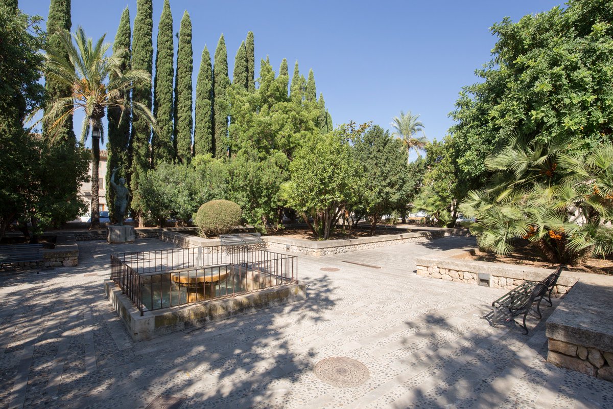 Pollença tweet media