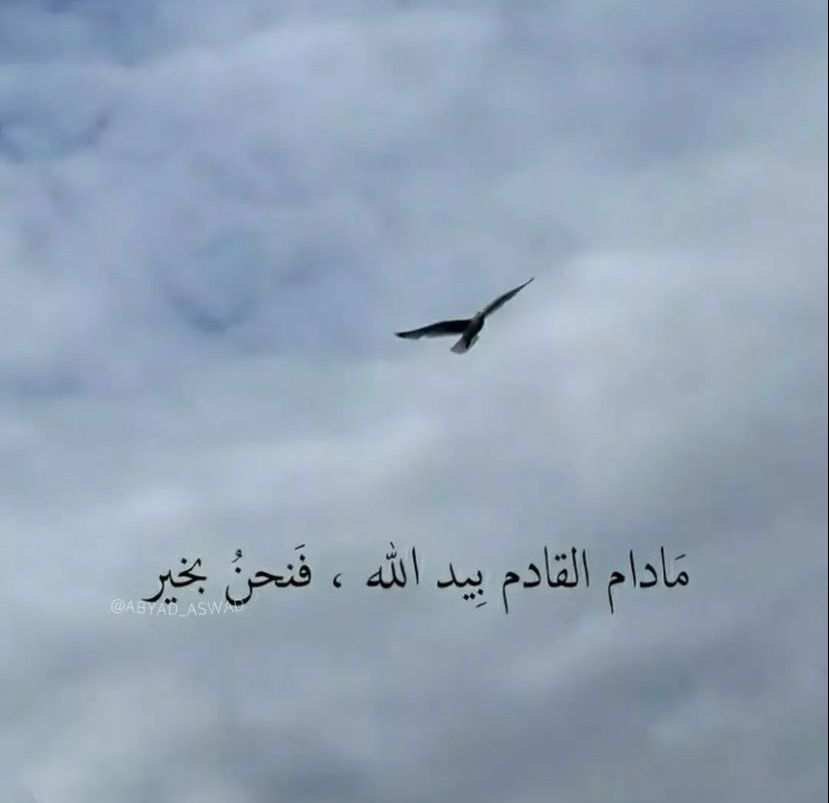 "يارب صُب عليّ من توفيقك ما يجعلني أشعر بأن حظ الدُنيا بين يديّ "