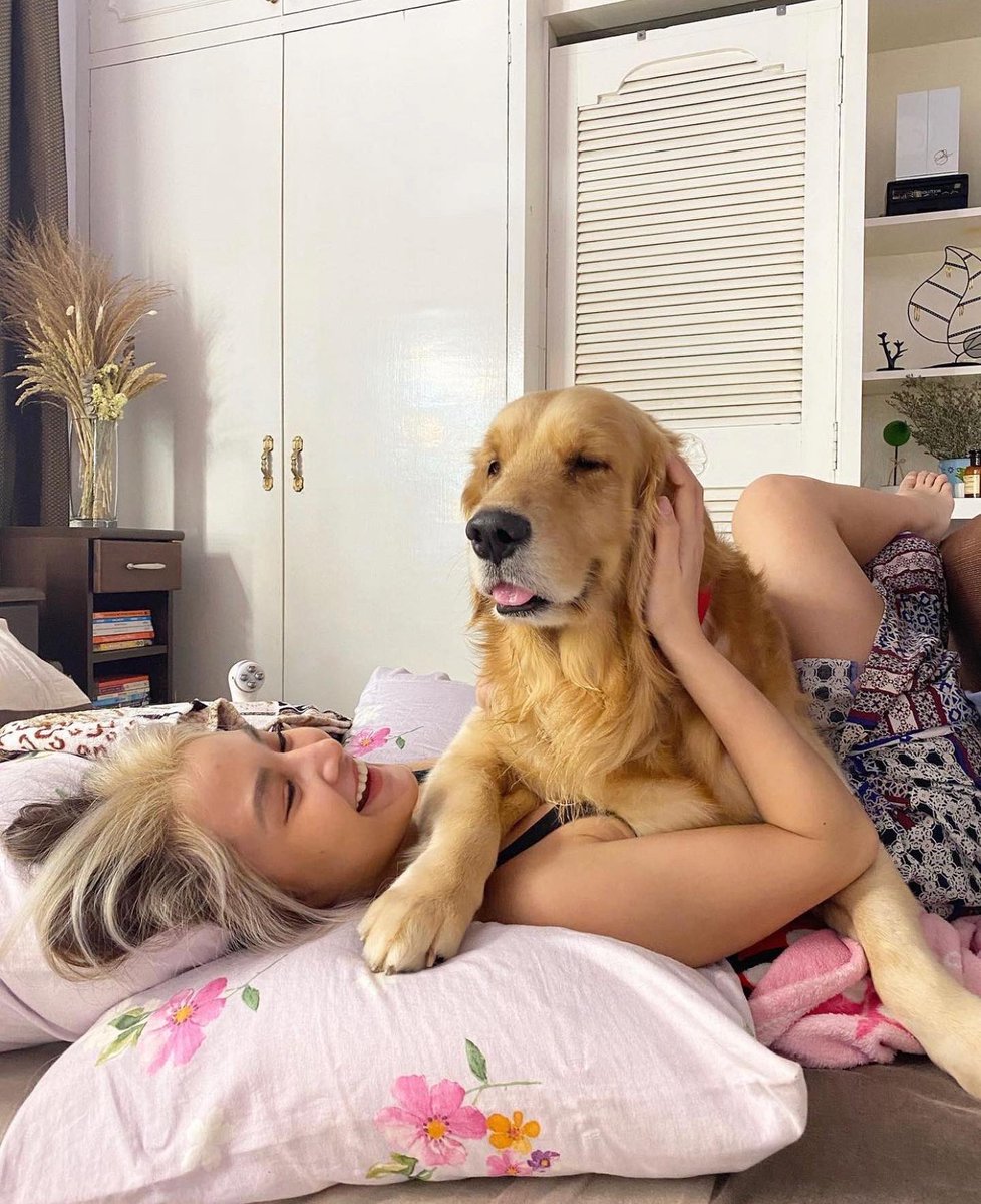 ChieFilomeno's tweet photo. Till your last breath you made sure I’m perfectly fine.. 😞 To the best golden retriever in the world may the doggo heaven give you lots of tennis balls and Zert strawberry shortcake treats you deserve Mattyboo. 🤍🕊 https://t.co/fhhCRGgBFa