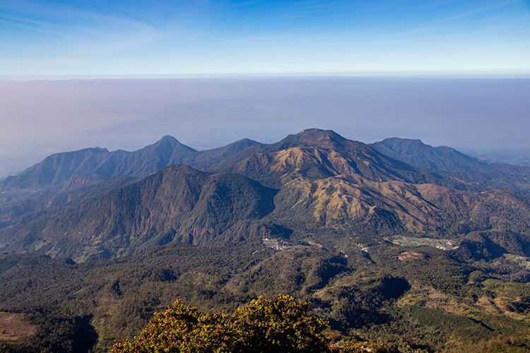 EastJavaTourism's tweet image. #MountLawu, one of the beauties in #Magetan. Not just a majestic landscape, but Mount Lawu is a favorite among mountain climbers #Indonesia
📸kompas.com/anggarawikanpr…