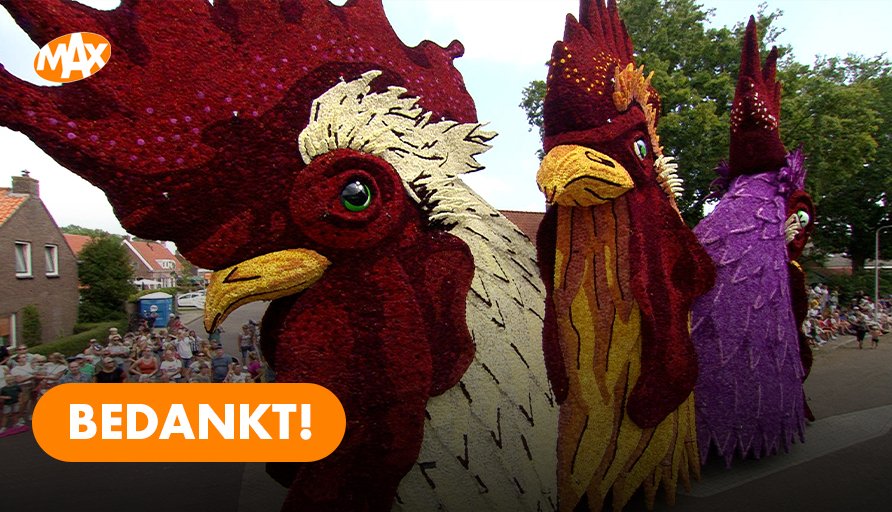 Bedankt voor het kijken! 🌼💐🌷 #Bloemencorso #BloemencorsoSintJansklooster #OmroepMAX