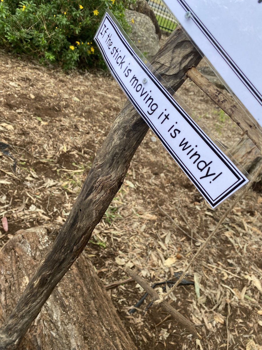 Ryan8Kellie's tweet photo. Kindergarten had so much fun creating our own weather station today and finding the perfect location for it. #capturecurran #lovewhereyoulearn @NSWEducation https://t.co/K27FGU0r9p