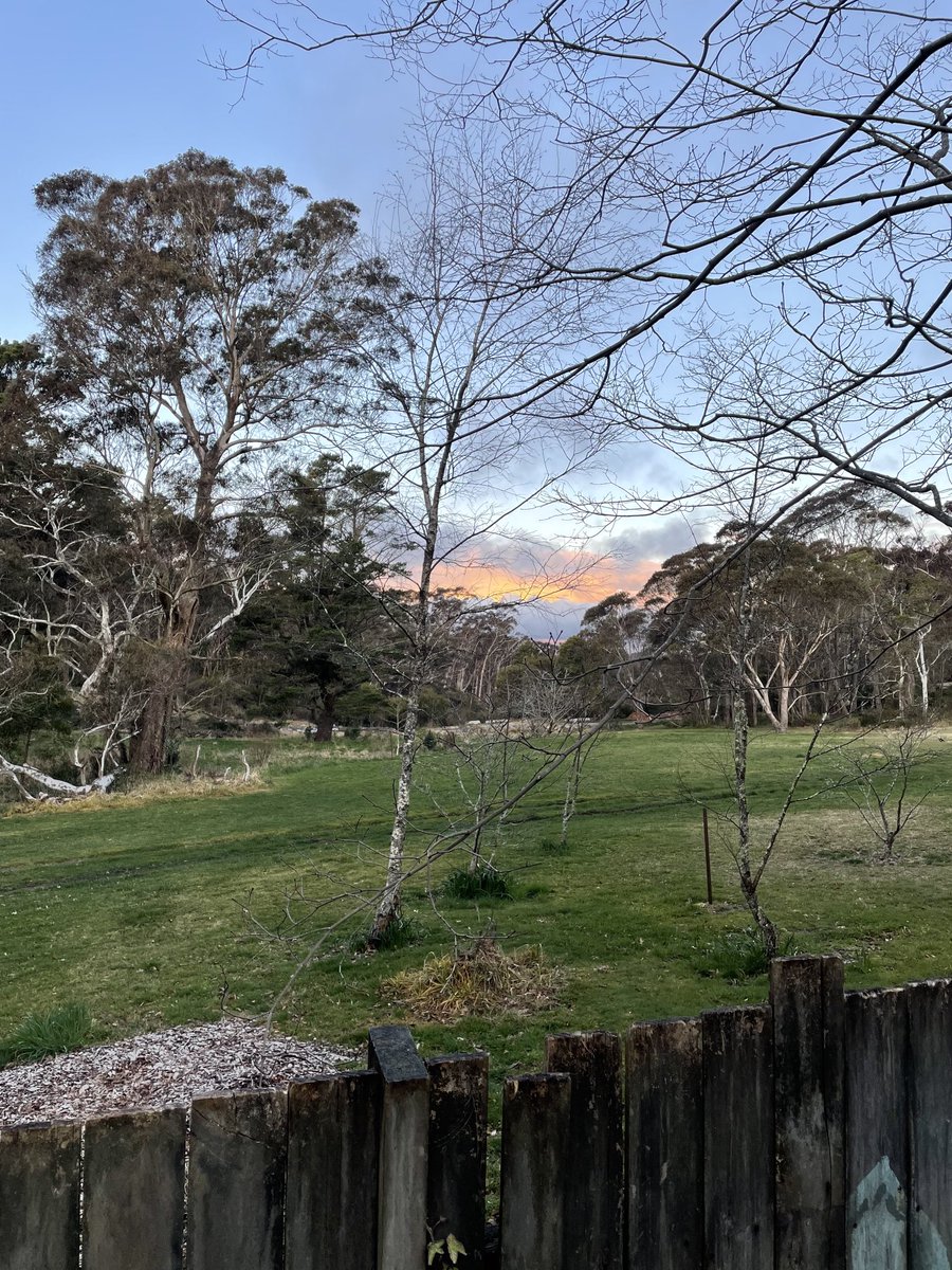 mello444's tweet image. Scenes from a different ‘hood