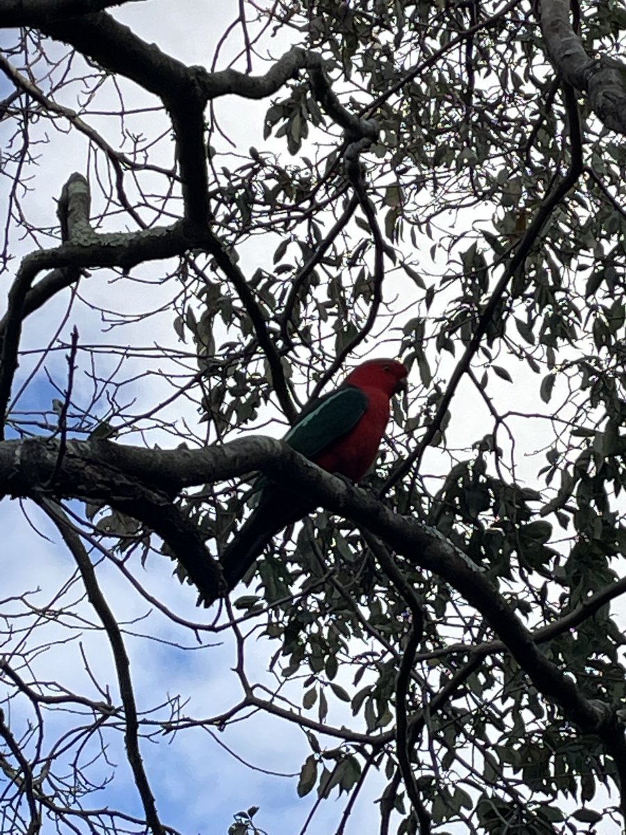 mello444's tweet image. Scenes from a different ‘hood