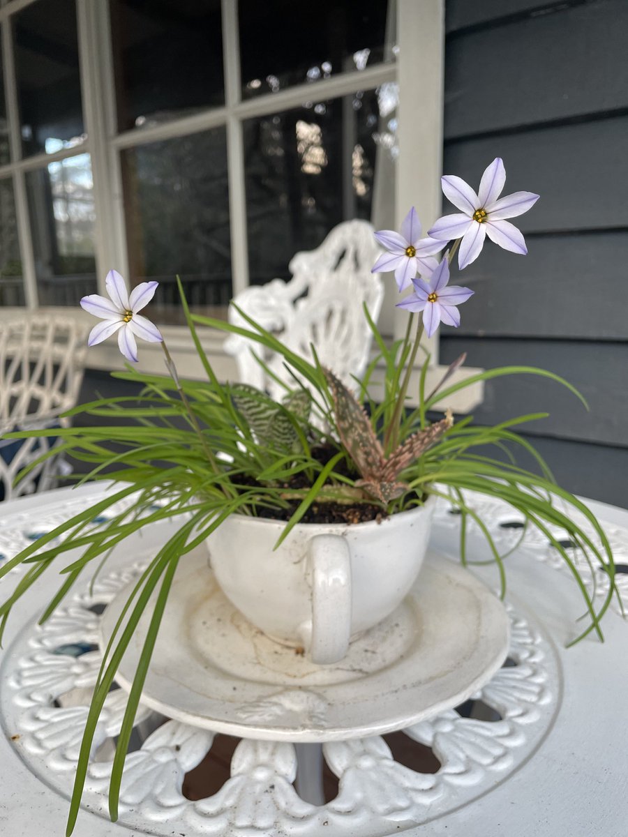 mello444's tweet image. Scenes from a different ‘hood