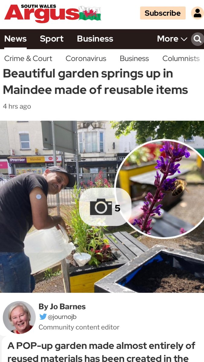 MaindeeLibrary's tweet image. “Beautiful garden springs up in Maindee”🌿
 
It was great to have the @southwalesargus come to check out our reuse garden this week, sharing our story with readers across South Wales!🗞️
 
Thanks @JournoJB for the kind words!

southwalesargus.co.uk/news/20757859.…
 
#LoveMaindee