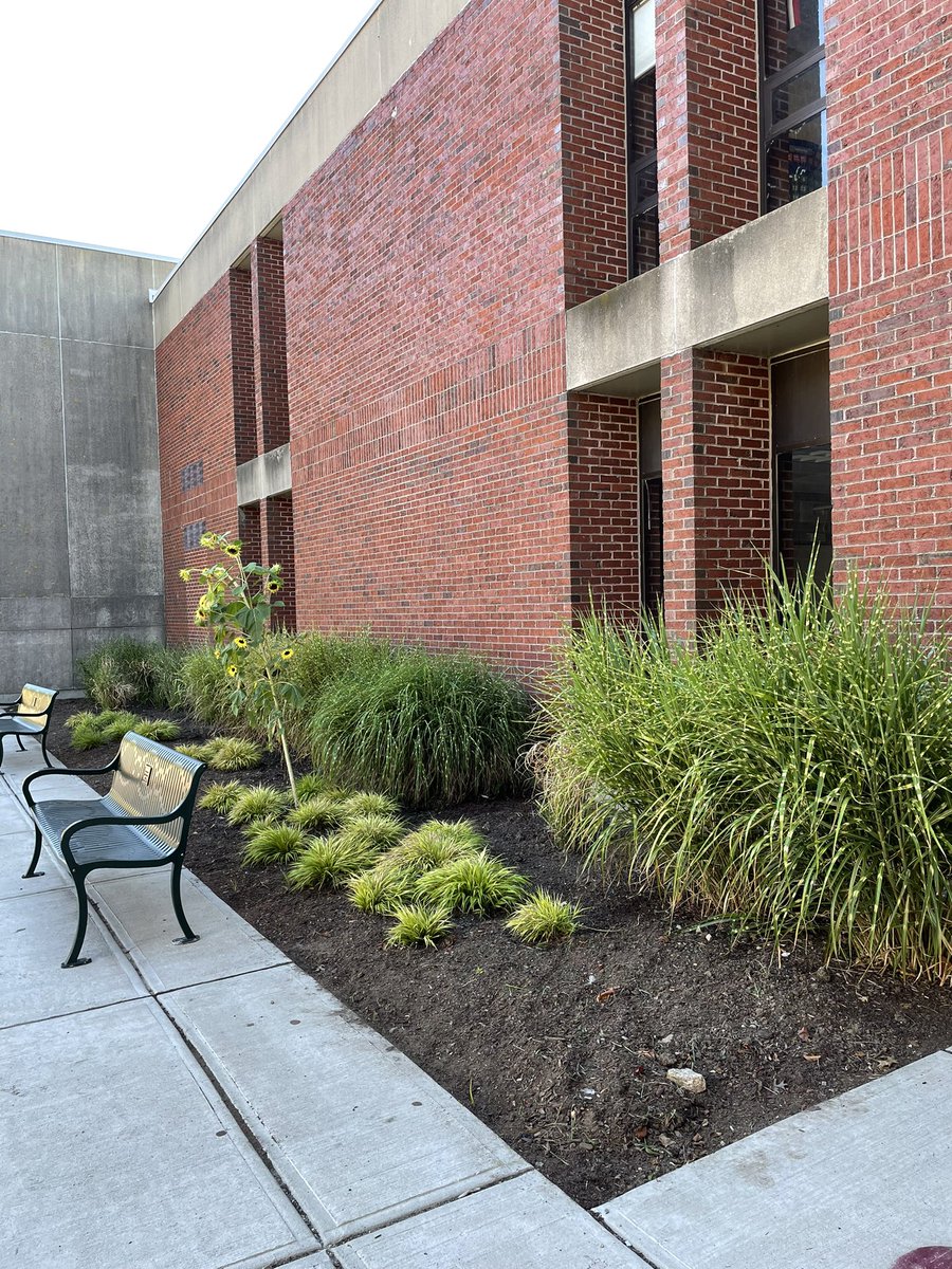 OMaleyPrincipal's tweet photo. Thank you, Generous Gardeners! The O’Maley gardens look beautiful! #omaley https://t.co/UqXb4O2NAq