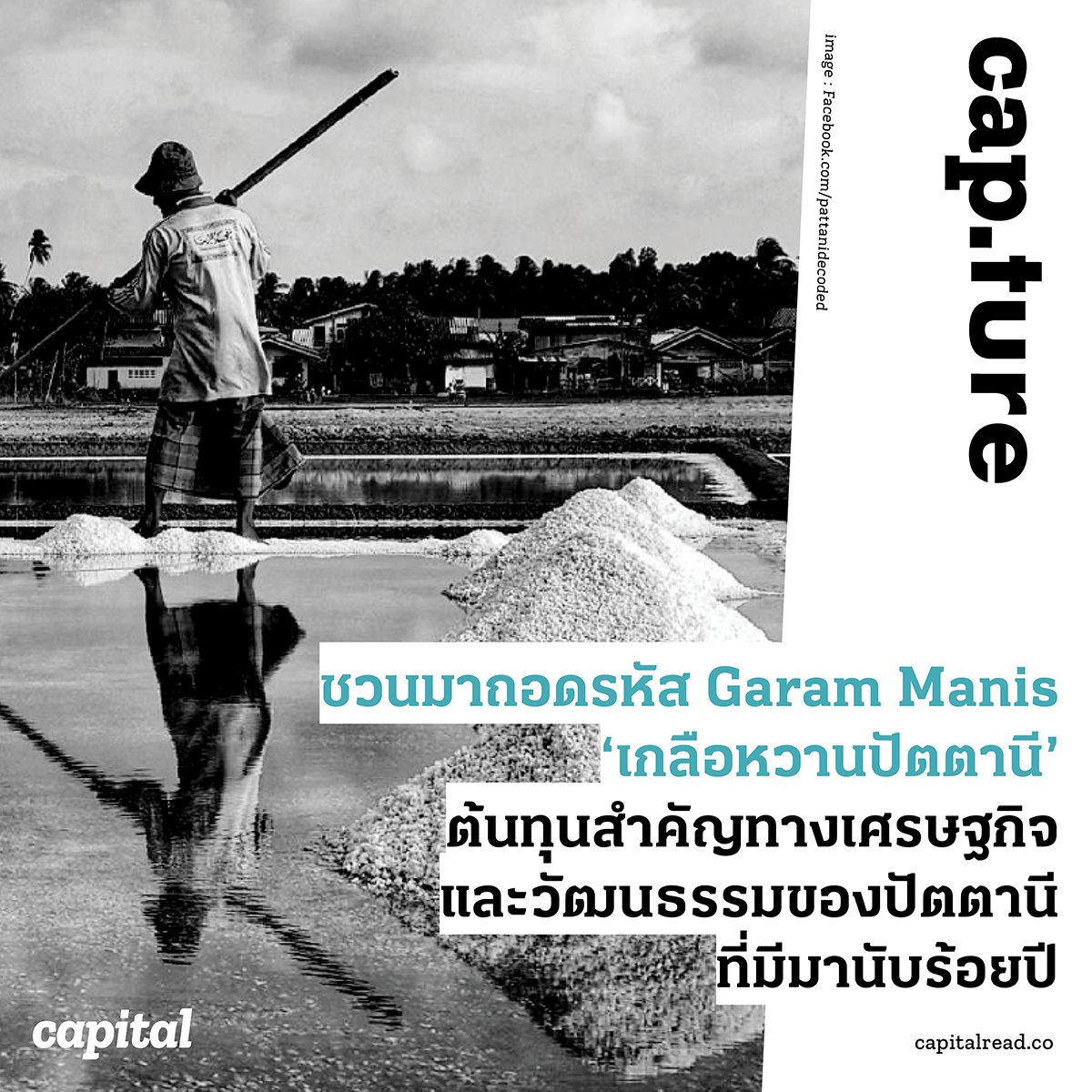 capitalreadco's tweet photo. 2-4 กันยายนนี้ ชวนไปถอดรหัส ‘เกลือหวานปัตตานี’ ต้นทุนสำคัญทางเศรษฐกิจและวัฒนธรรมของปัตตานีในเทศกาล ‘Pattani Decoded’ หรือ ‘ปัตตานีดีโคตร’ ซึ่งปีนี้มาในคอนเซปต์ PATTANI DECODED: DEEP SALT
เพิ่มเติมได้ที่ https://t.co/bBRhWL9Ua6
#capitalread #Capture #PattaniDecoded https://t.co/c6n6PKBTT0