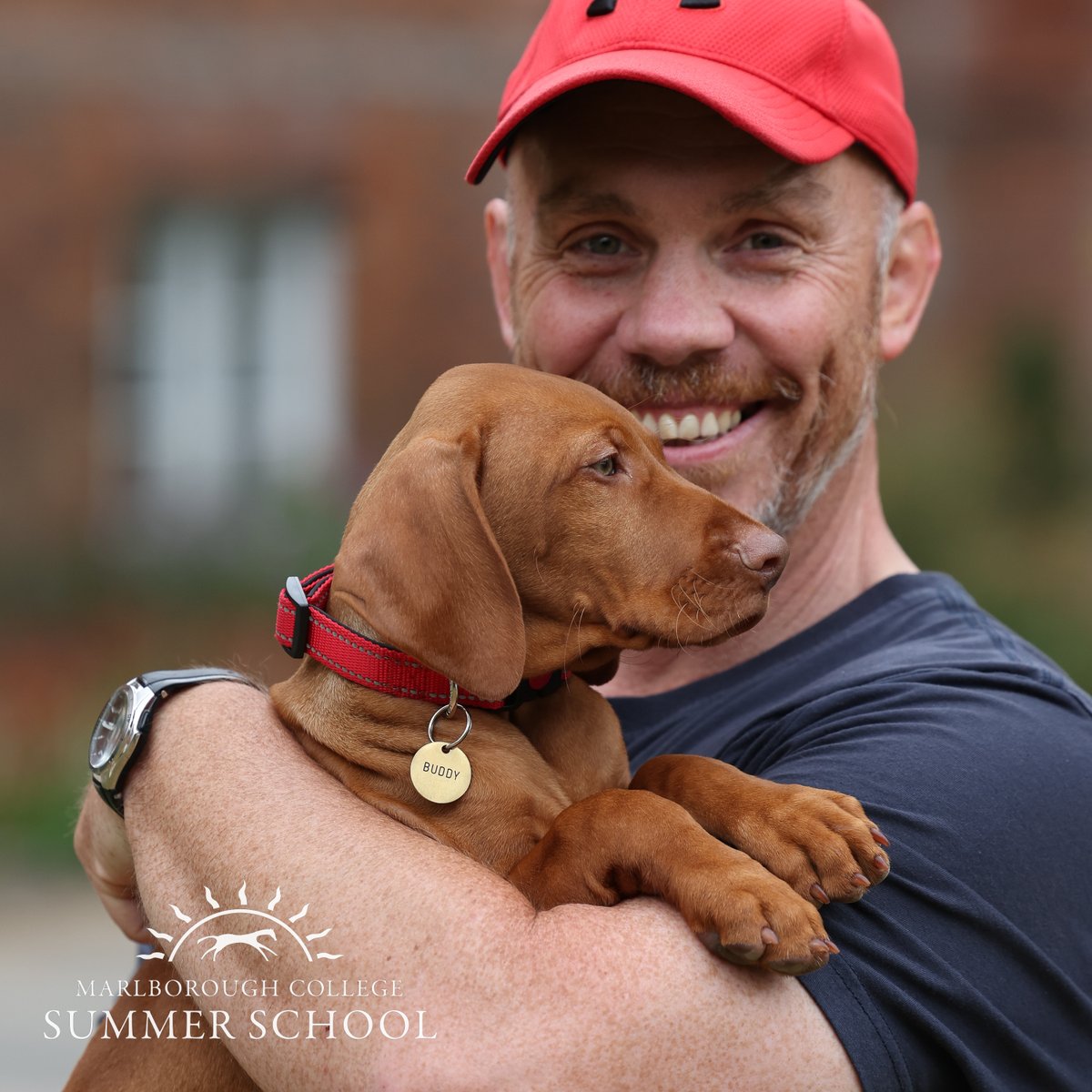 MCol_Summer's tweet photo. #NationalDogDay? We'll post to that!! 
Did you 'paws' to meet little Buddy while passing through C1 this summer? 🐾 https://t.co/Clel2l7Ng3