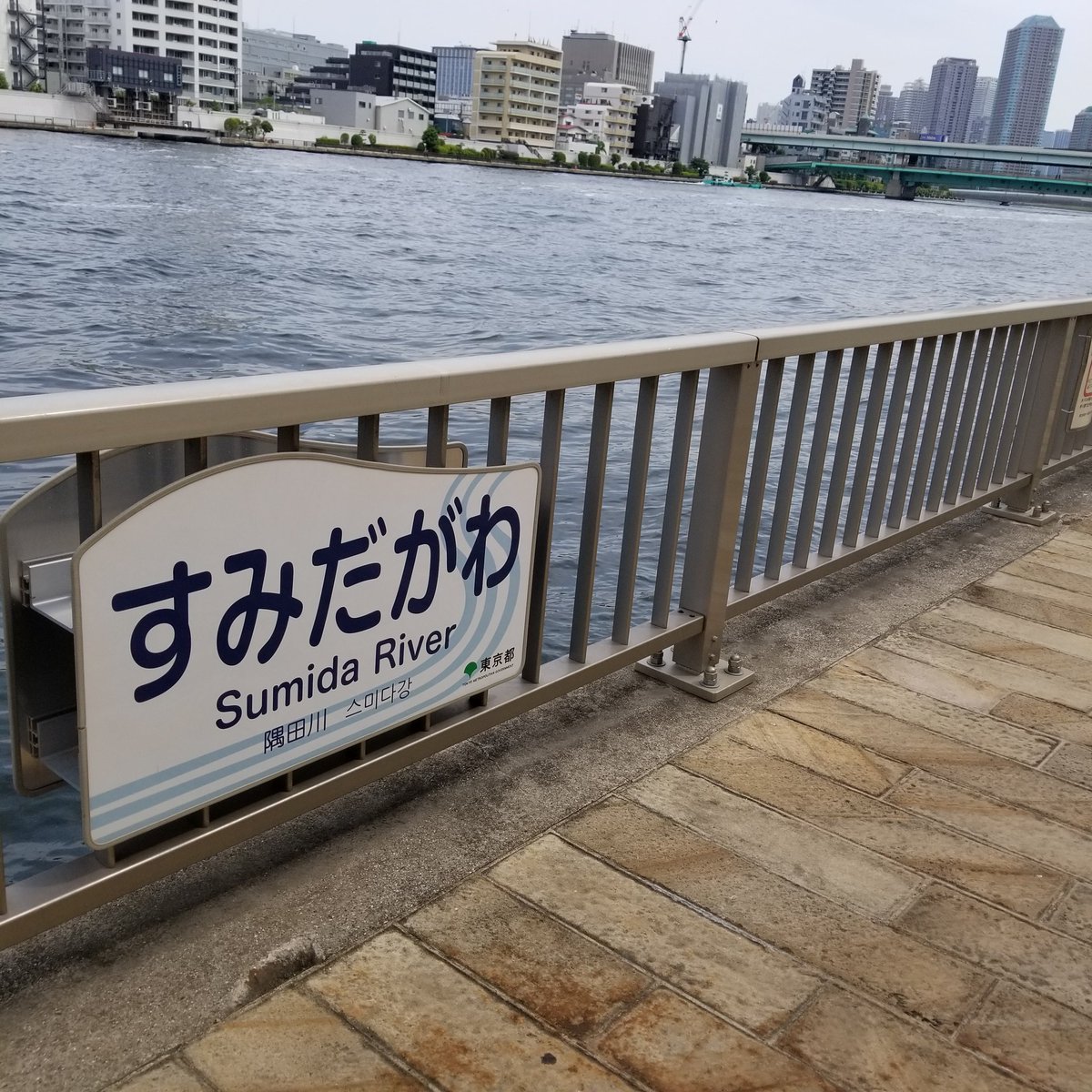 Meladrenaline's tweet photo. Just put on some lofi, close your eyes, and pretend that you're back in downtown Chuo City, Tokyo. -(- , -)~zZzZz.. #MissingJapan Spending the night in a nice bed..After a lovely day of enjoying the weather, walking along the Sumida River, visiting a Pokemon Center.. I'm sleepy.. https://t.co/e3BKQB74so