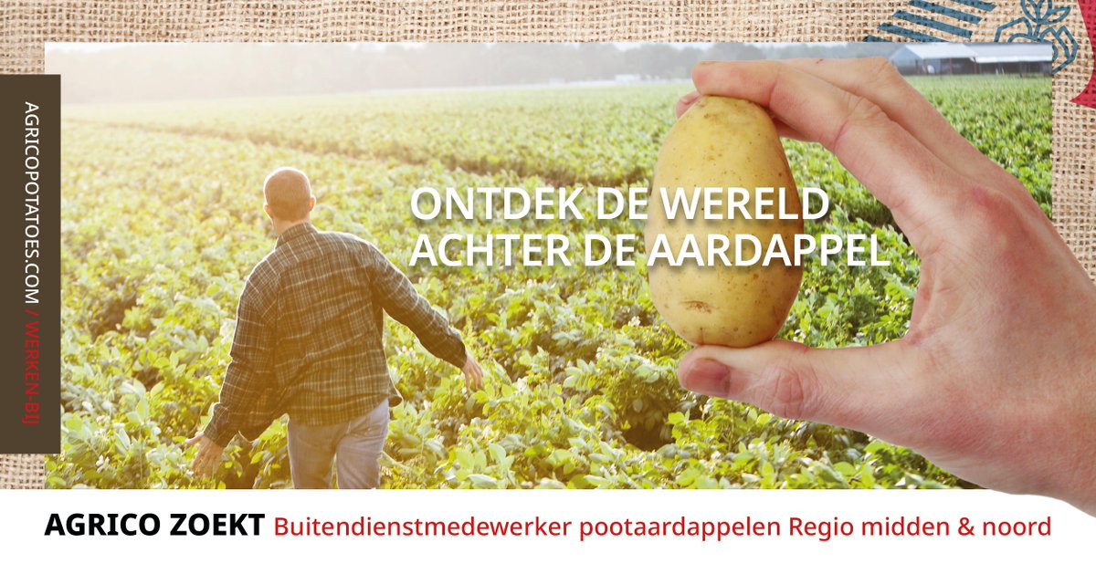 Ben jij de buitendienstmedewerker die de verbindende factor is in de relatie met onze telers?

✔️Uitdagende en afwisselende functie
✔️Zelfstandig werken
✔️Goed gevoel voor teelt-technische zaken
✔️Hbo werk- en denkniveau op agrarisch gebied

Meer info👇
agricopotatoes.com/nl/werken-bij/…