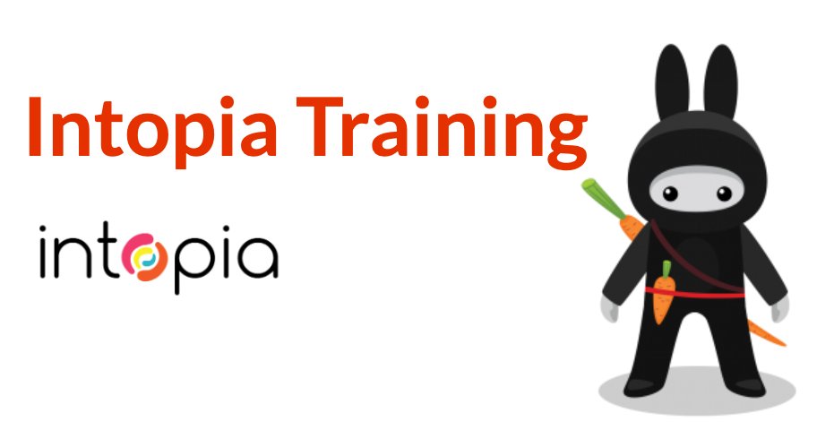 Our first ever public training courses focusing on testers and content creators kick off next week. This is your last chance to register! Over 3 sessions and delivered online, find out what you need to know when it comes to accessibility. Details: intopia.digital/services/acces… #a11y