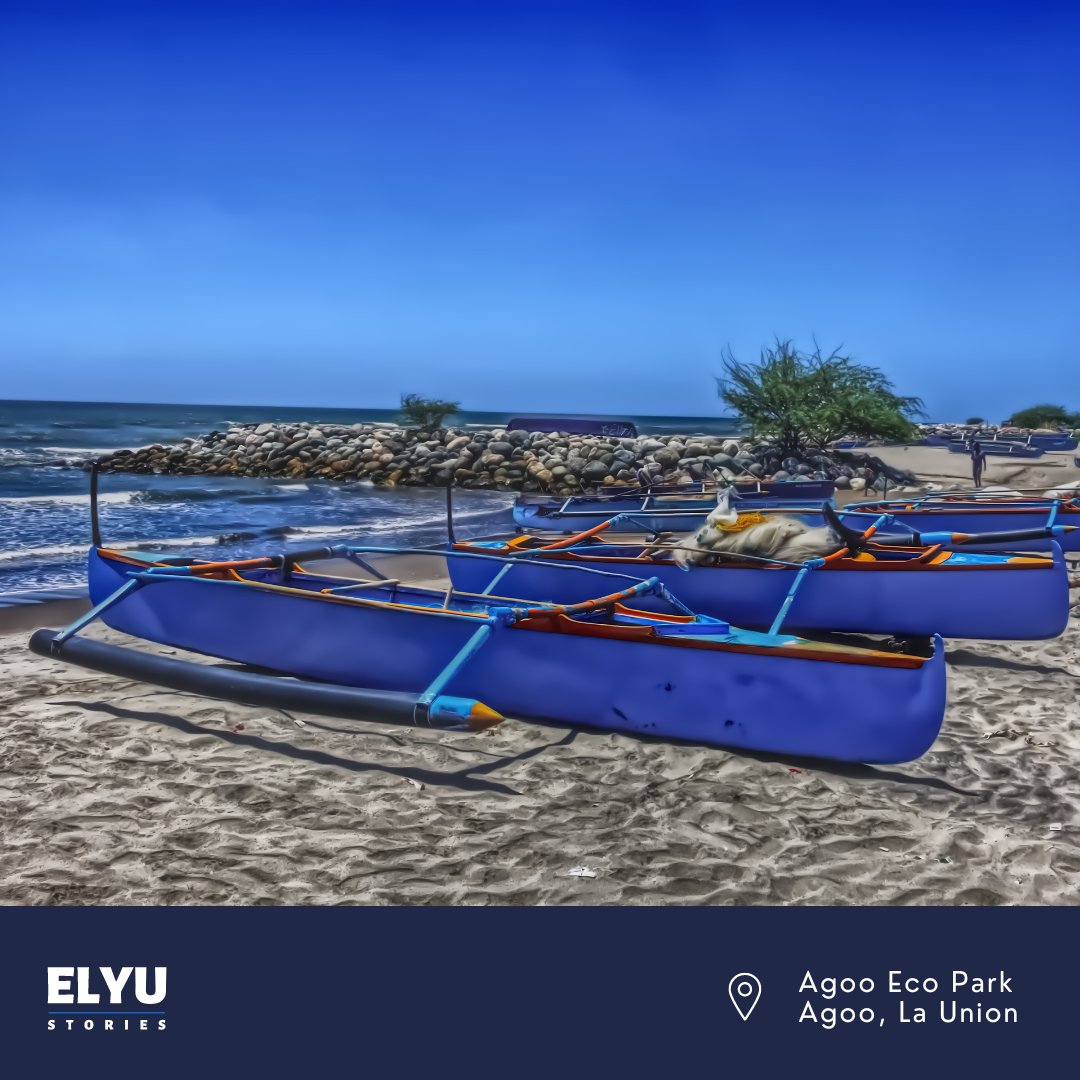 elyustories's tweet photo. Did you know Agoo town actually has 30-km long stretch of shoreline in its Ecopark!
You can even buy the day's catch from fishermen and grill it right there on the beach!
#elyu #surfcapital #agooecopark https://t.co/EVwqoaLfvE