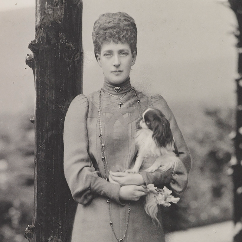 RoyalFamily's tweet photo. 🐶 Kept at the Round Tower at Windsor Castle, the @RCT photograph collection is home to 450,000+ images - including many that feature The Royal Family and their dogs over the years.

This #InternationalDogDay explore some of the collection’s highlights online: