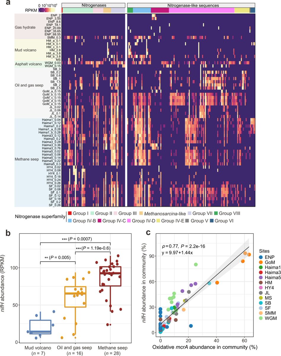 windfieldhk1's tweet photo. A recent discovery of wide distribution of N fixers in cold seeps. Dominant microbial species in the deep-sea cold seeps consume methane and hydrocarbons, and fix N2 at the same time to boost the biosynthesis of proteins. Is this the third environment with abundant diazotrophs? https://t.co/XVJ4UvlWgK