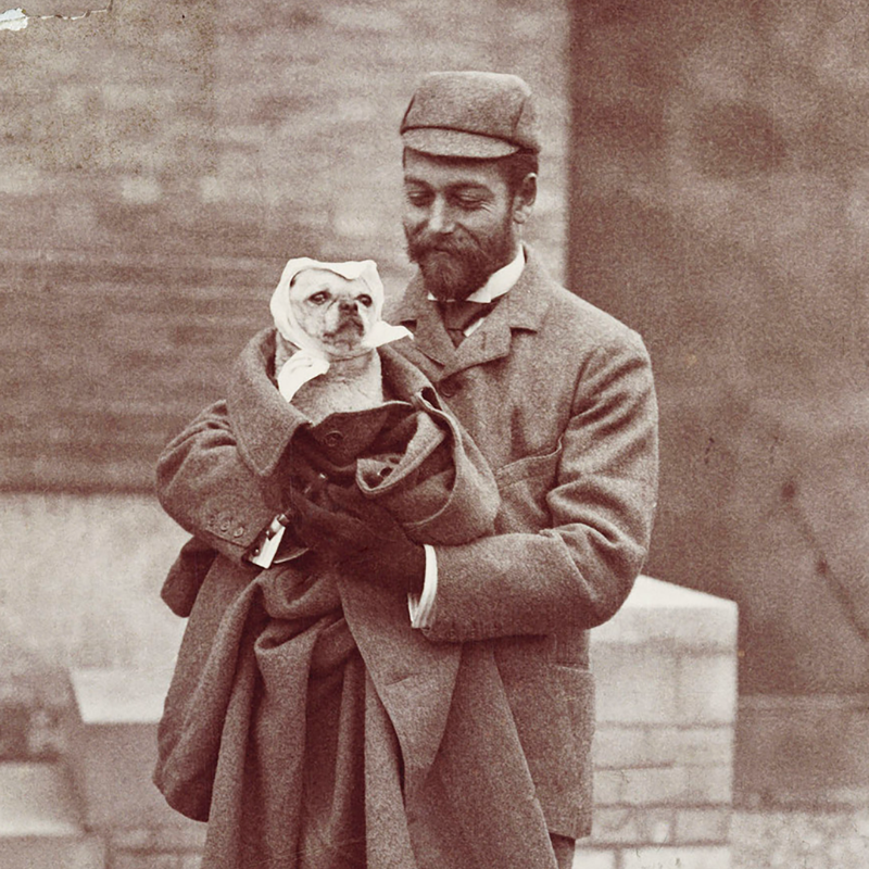 RoyalFamily's tweet photo. 🐶 Kept at the Round Tower at Windsor Castle, the @RCT photograph collection is home to 450,000+ images - including many that feature The Royal Family and their dogs over the years.

This #InternationalDogDay explore some of the collection’s highlights online: