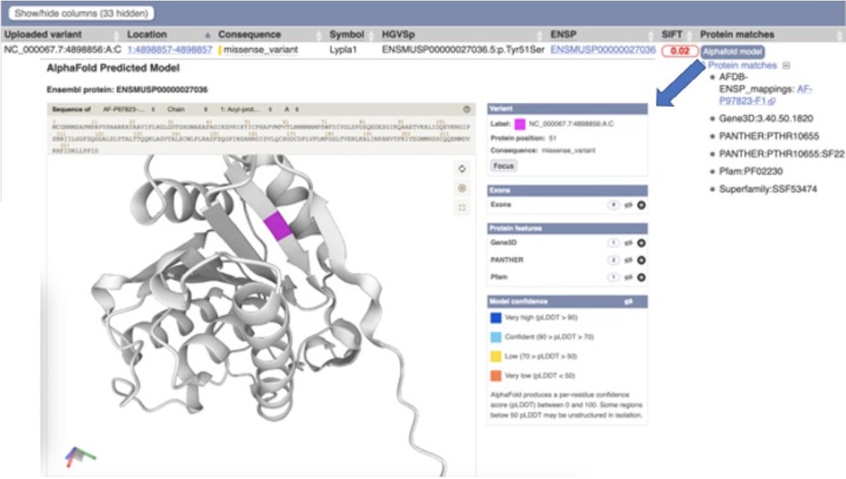 Did you know that you can use the Ensembl Variant Effect Predictor to visualise variants on #Alphafold predicted 3D protein structures?

Find out more in our latest blog post:
👉ensembl.info/2022/08/26/coo…

#genomics #bioinformatics #VEP
