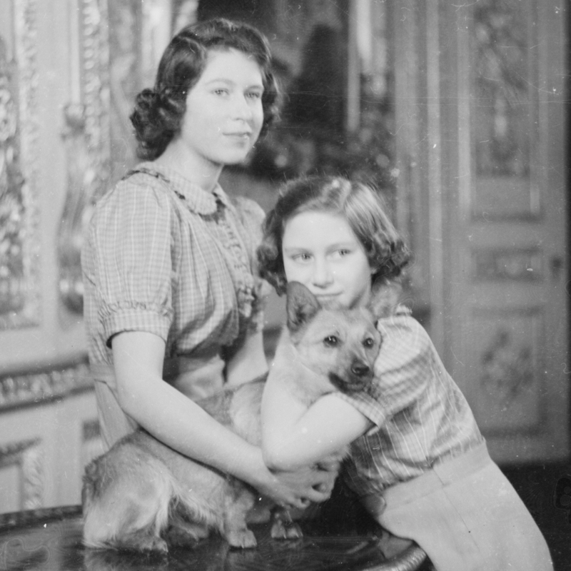 RoyalFamily's tweet photo. 🐶 Kept at the Round Tower at Windsor Castle, the @RCT photograph collection is home to 450,000+ images - including many that feature The Royal Family and their dogs over the years.

This #InternationalDogDay explore some of the collection’s highlights online: