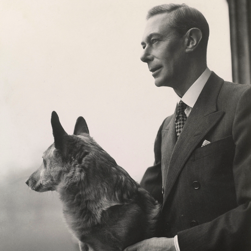 RoyalFamily's tweet photo. 🐶 Kept at the Round Tower at Windsor Castle, the @RCT photograph collection is home to 450,000+ images - including many that feature The Royal Family and their dogs over the years.

This #InternationalDogDay explore some of the collection’s highlights online: