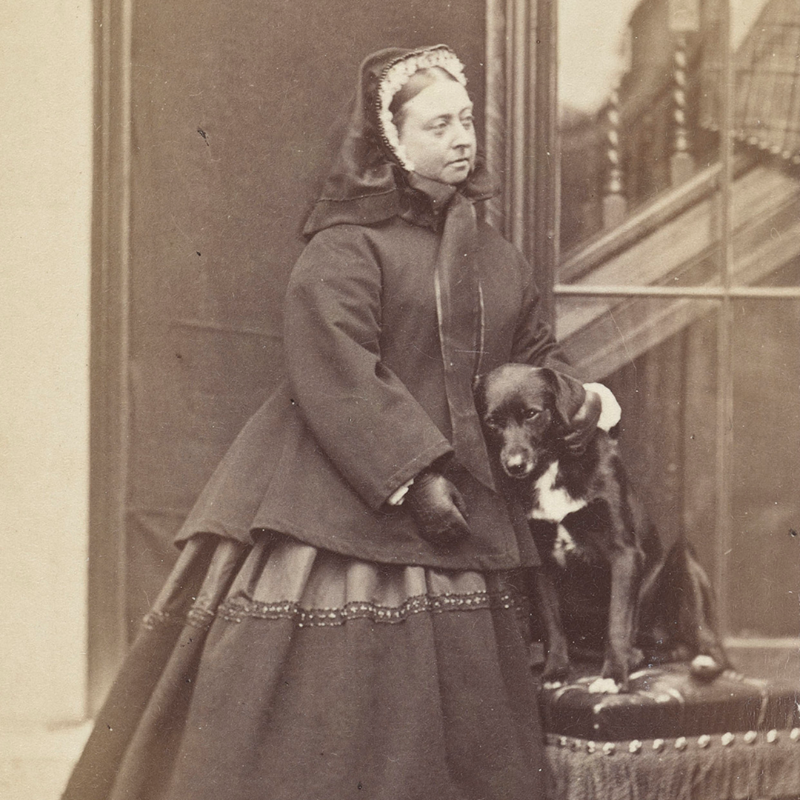 RoyalFamily's tweet photo. 🐶 Kept at the Round Tower at Windsor Castle, the @RCT photograph collection is home to 450,000+ images - including many that feature The Royal Family and their dogs over the years.

This #InternationalDogDay explore some of the collection’s highlights online: