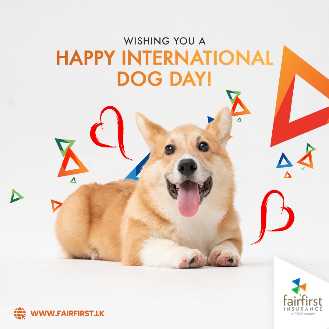 fairfirst_sl's tweet photo. Love is a four-legged word. Happy international dog day to all our furry buddies 🥰
#FairfirstInsurance #PetInsurance https://t.co/FWN0qYkHEv