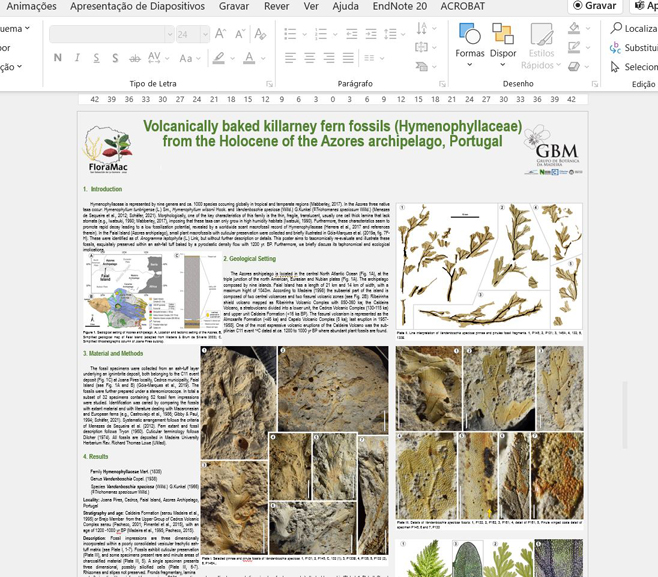 CGoisMarques's tweet photo. Almost done! #Poster #palaeobotany #WorkinProgress #futurepaper #floramac2022 https://t.co/y52sEr8qDO