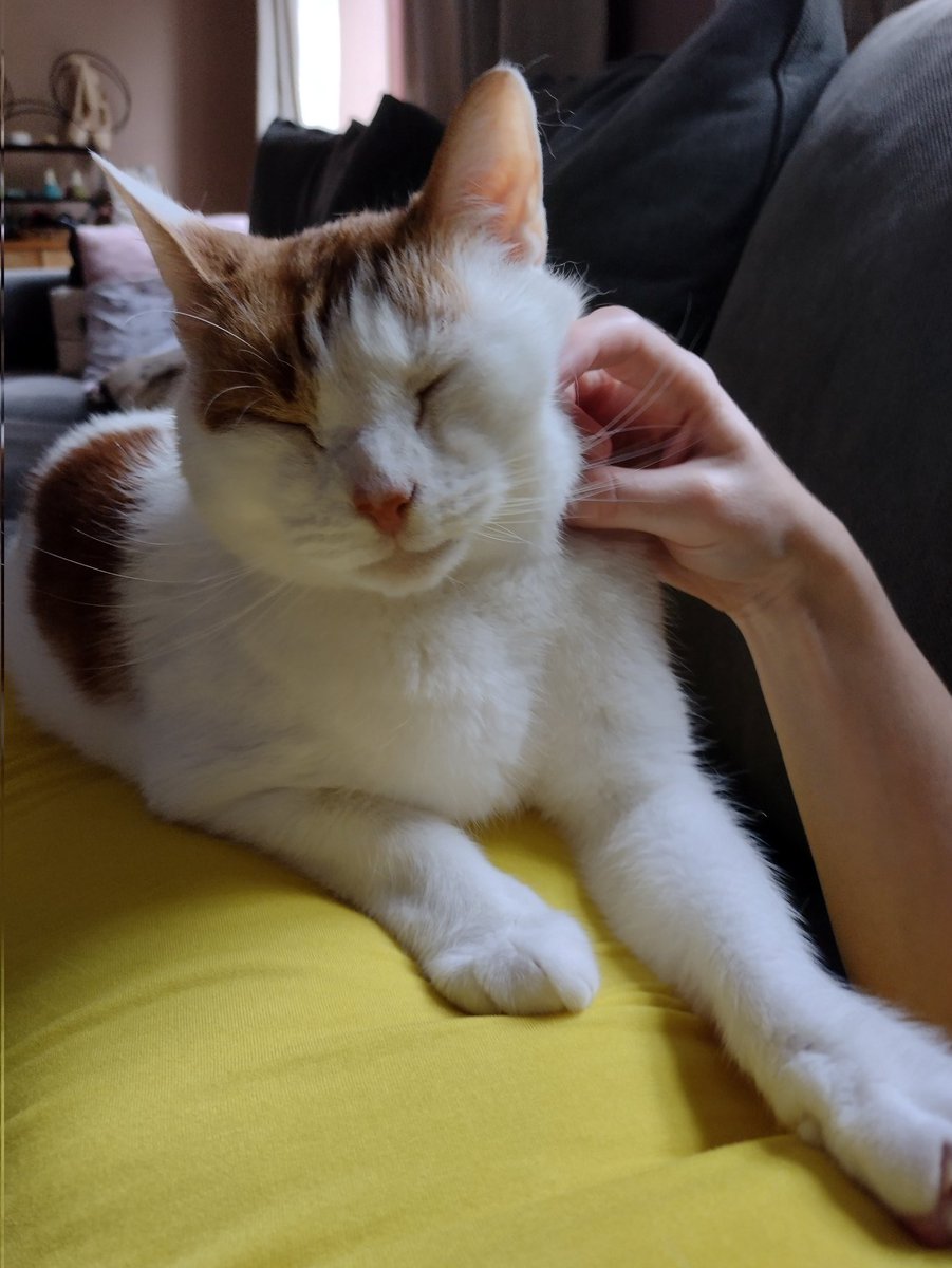 Schrödinger 🇺🇦 tweet media