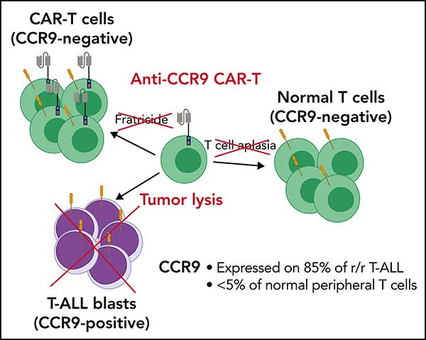 UCL Cancer Institute tweet media