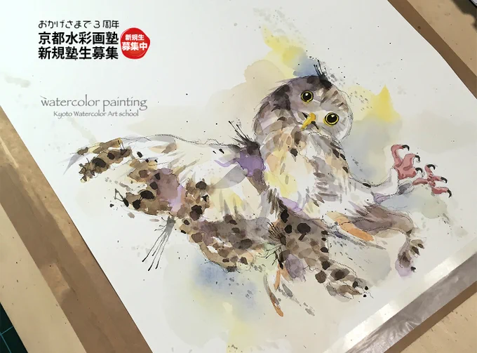 あれ〜っ!フクロウカフェで枝から落ちそうになった所をパシャ!#Watercolor #スケッチ #水彩画 #淡彩略画 #透明水彩 #京都水彩画塾  #水彩画ワークショップ  #水彩画教室  #京都の絵画教室  #生徒募集  #フクロウ 