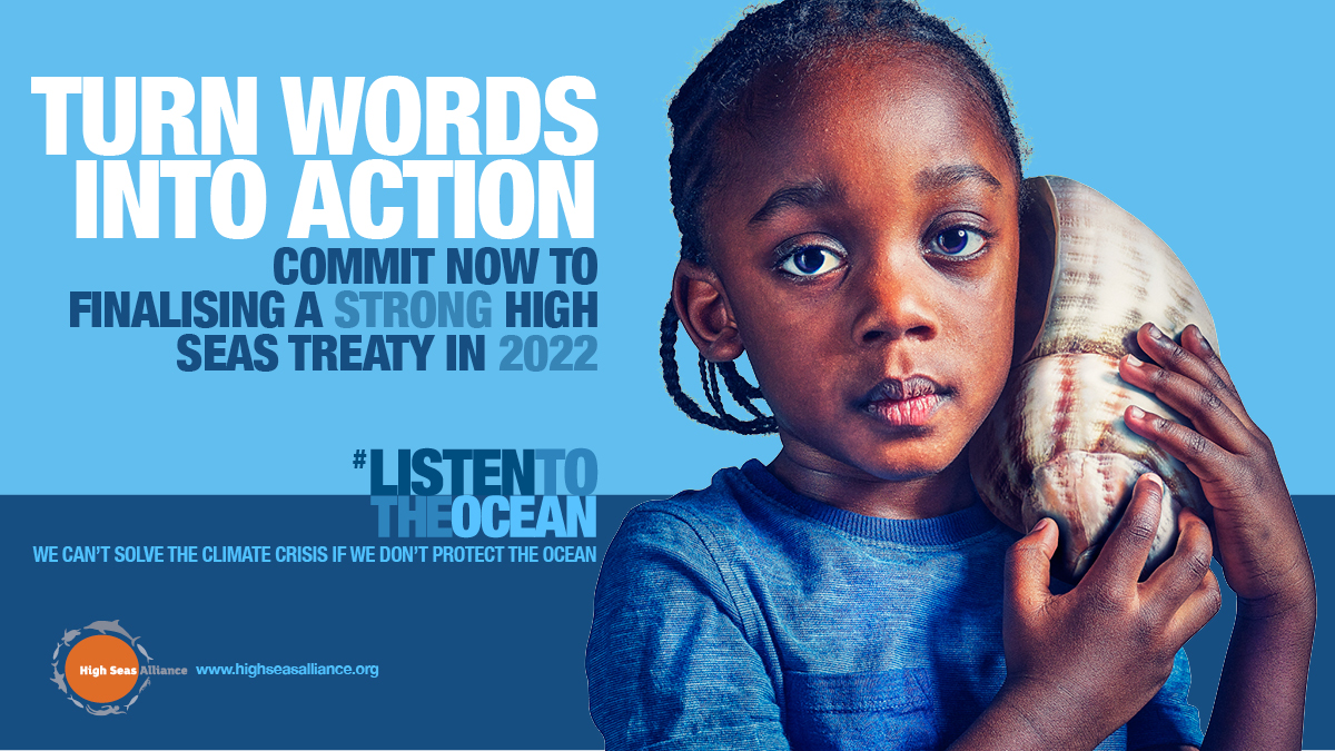 High Seas Alliance tweet media