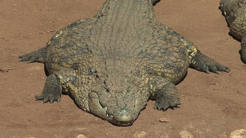 GatorsDaily's tweet photo. ITS FLAT FUCK FRIDAY https://t.co/qzr1khPCtK