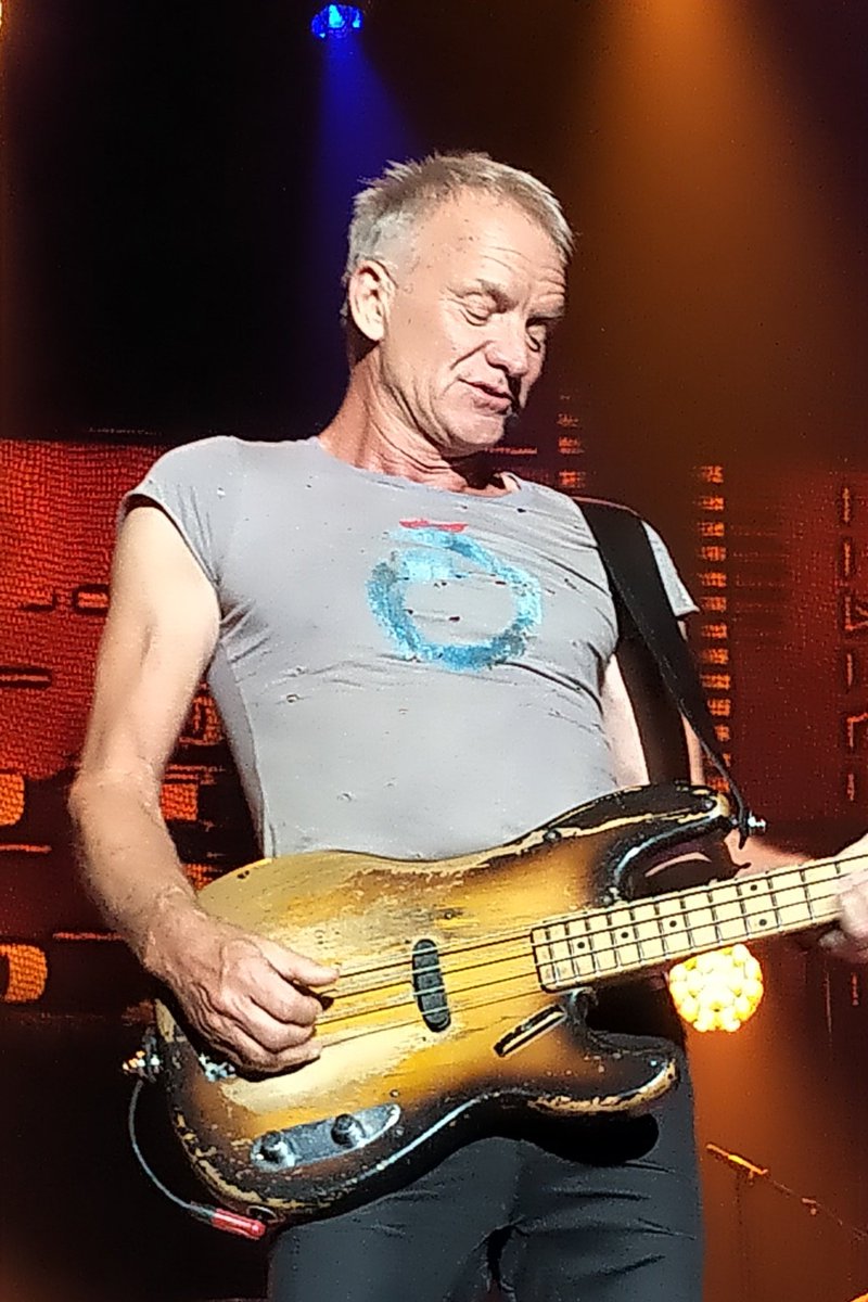 MacDonaldLab1's tweet photo. Work on that manuscript... or see Sting... decisions, decisions... https://t.co/B54Ck7NBiY