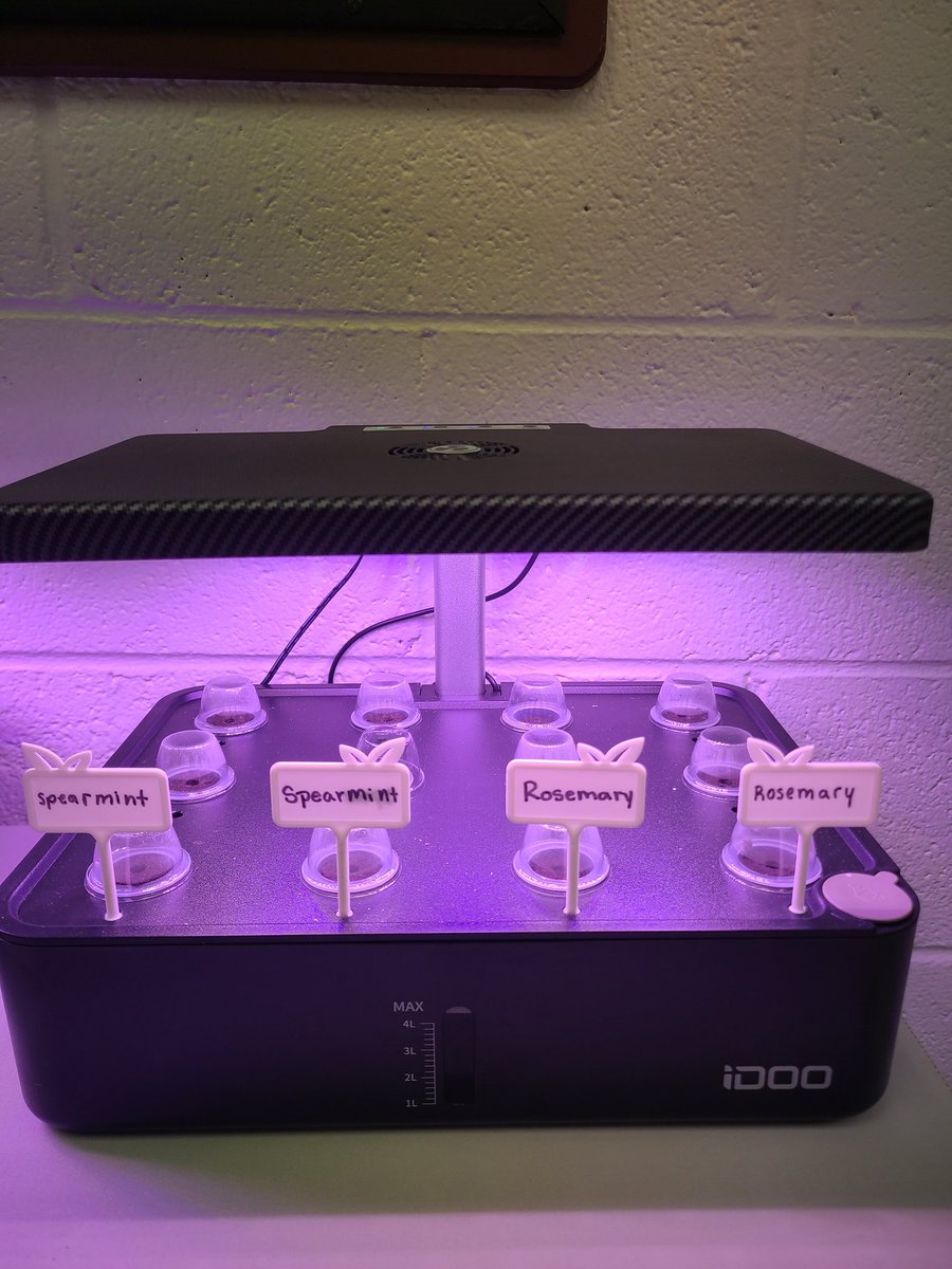 BenRussellFFA's tweet photo. Agriscience students have planted the seeds for their fall crops that will be grown in our new table hydroponics systems. Seeds should start to germinate next week. Follow along to see their growth and development over the next few weeks.
#learningtodo #doingtolearn @ALEXCITYCTE https://t.co/Mxv0m2bltx