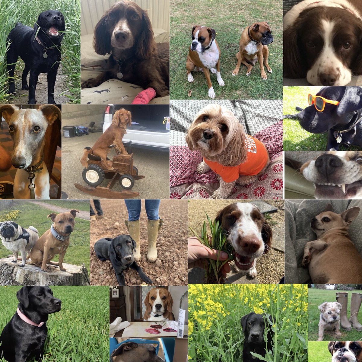 BASF Agricultural Solutions UK tweet media