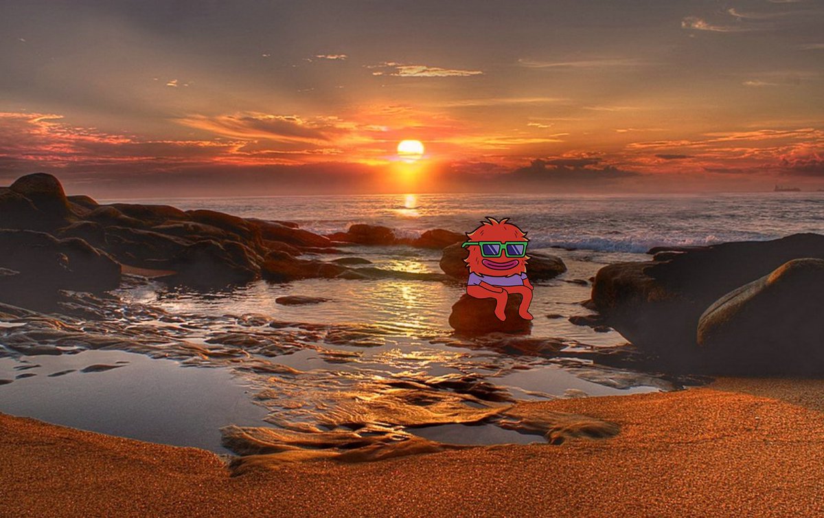 wolfilandnfts's tweet photo. GM Wolfi frens! Have a nice Friday! 🏖 https://t.co/tNdyof1tA1