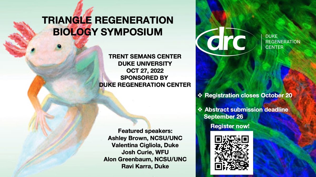Save the date! Triangle Regeneration Biology Symposium sponsored by DRC is scheduled for October 27! - mailchi.mp/fb786a93ca2d/s… Register now!